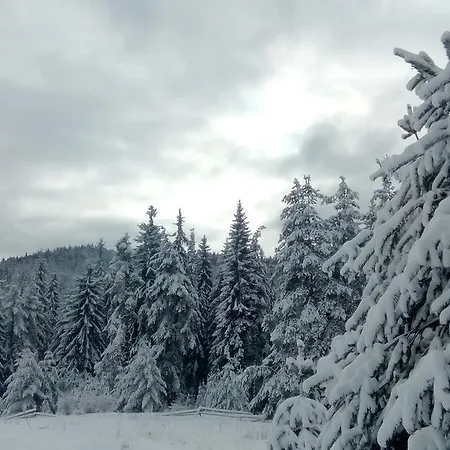 Rhodope's Heaven Dikchan Guest house