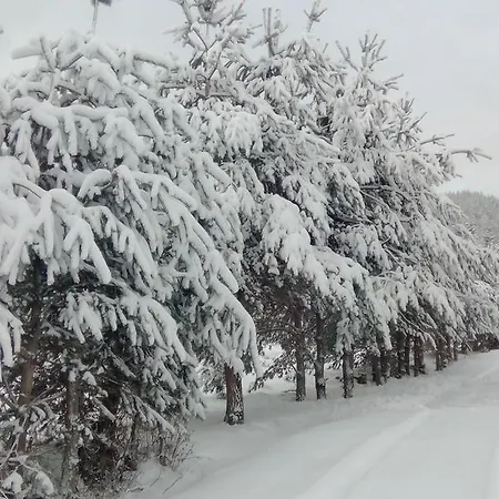 Rhodope's Heaven Dikchan * Kovacevica